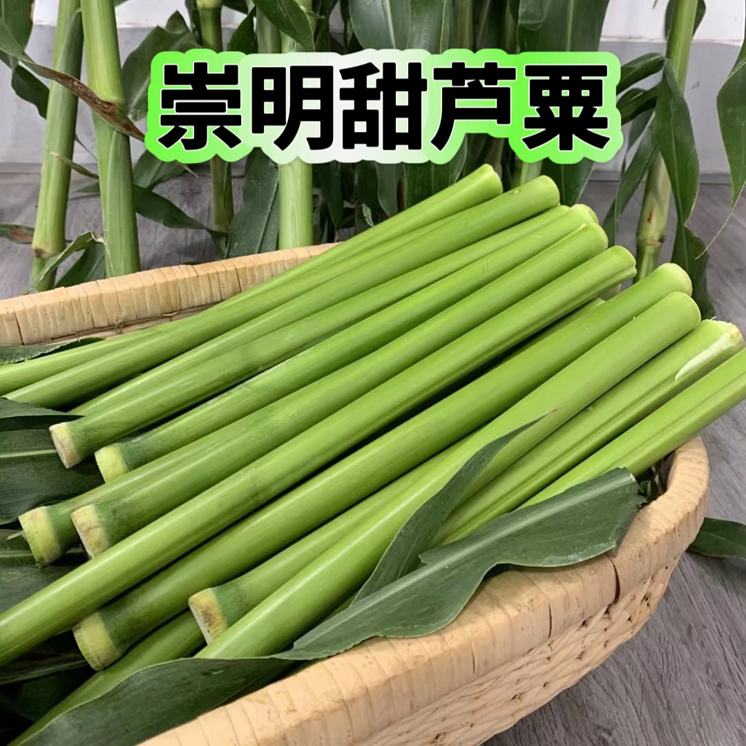 上海崇明甜芦粟中间段 顺丰包邮 松脆甜 拍5斤发6斤上海市