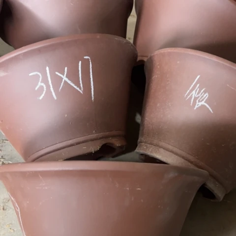 100-5。       31-17