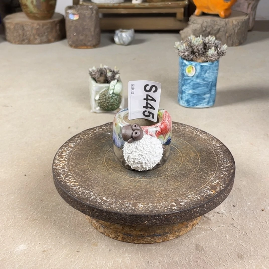 小白孤品 立体小羊 内口3.5 不规则百搭