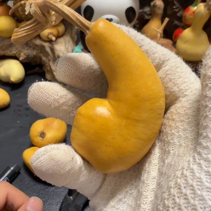 心***安66666666666666666