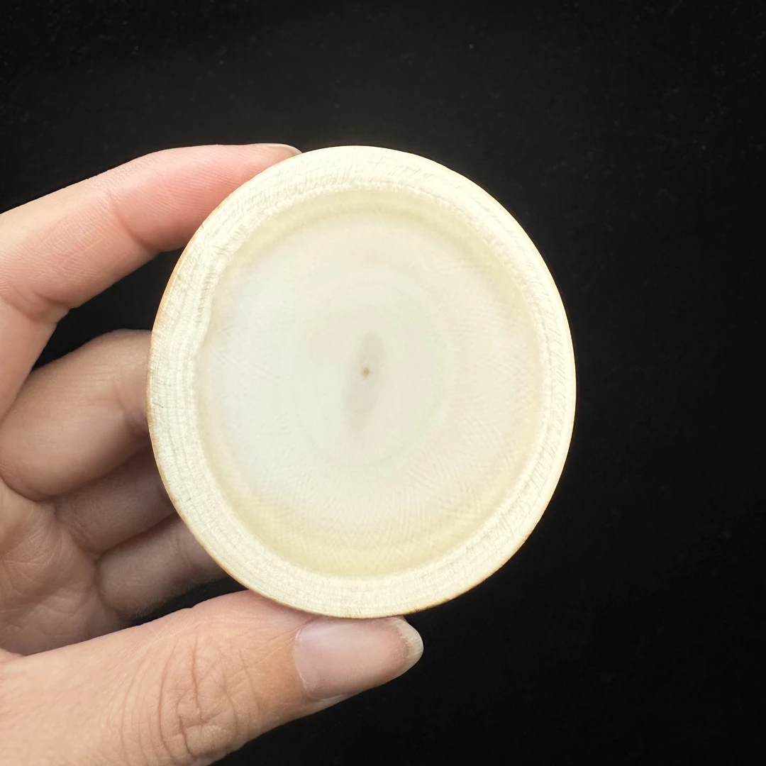 H1027天然猛犸牙 原切牙饼 59×12mm支持鉴定假一罚四