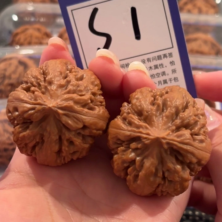 把件文玩核桃S1号霸王龙41尺