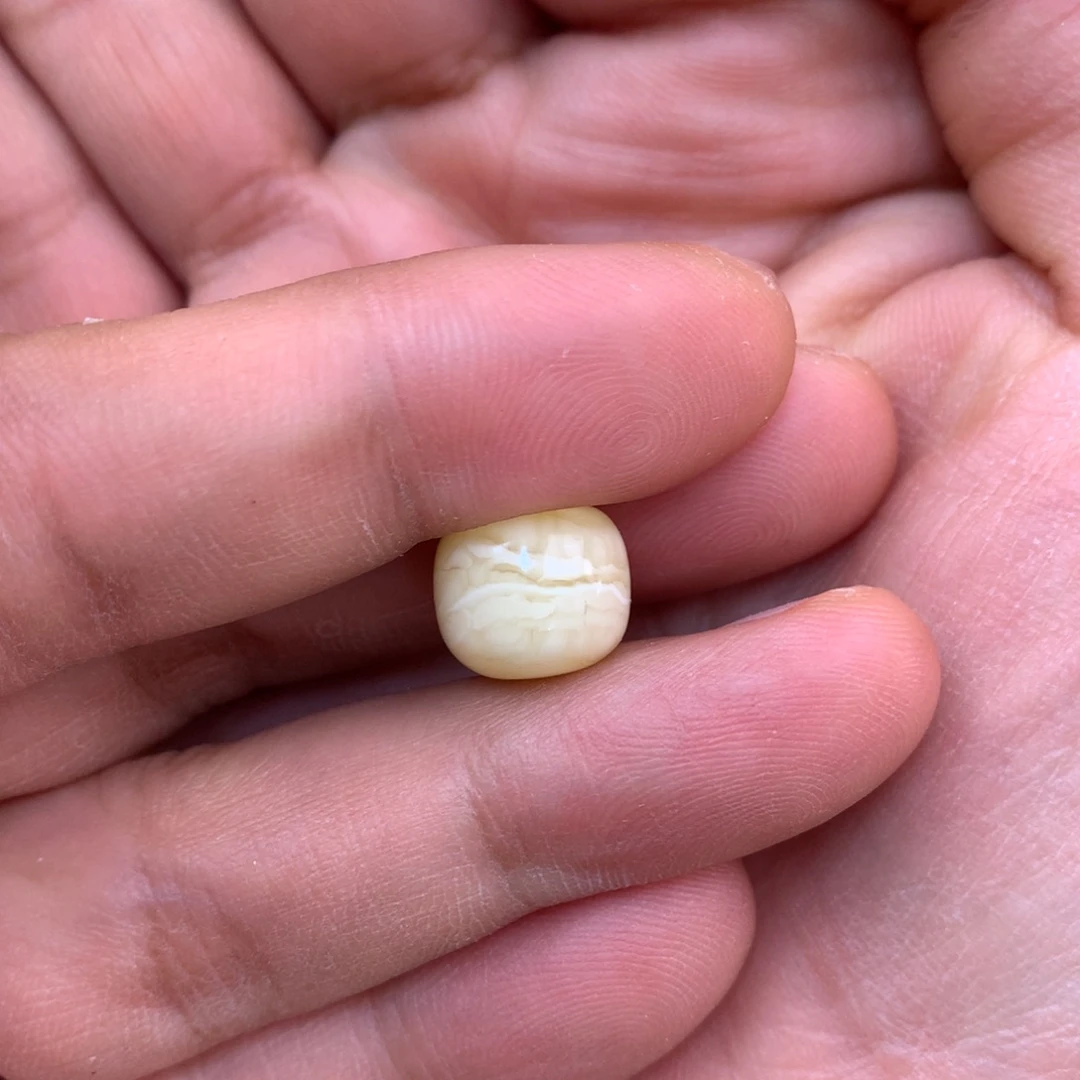 晴***天琥珀未镶嵌裸石蜜蜡