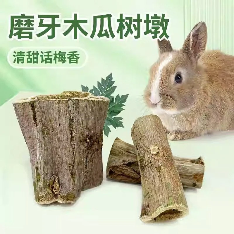 话梅香磨牙零食兔子木瓜磨牙玩具咬墩龙咬啃猫木棒气兔兔豚鼠磨