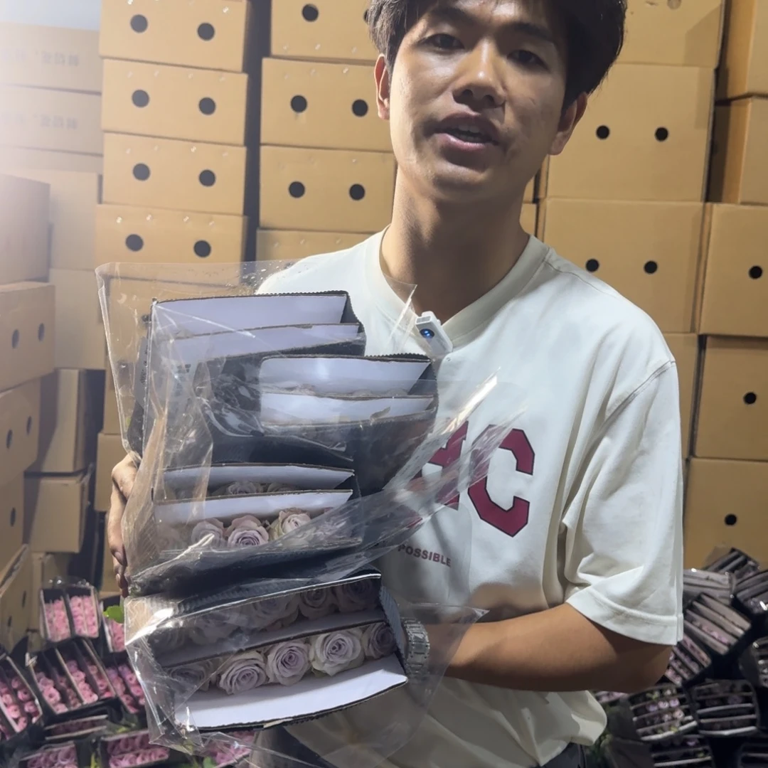 海洋之歌2扎包邮价秒杀