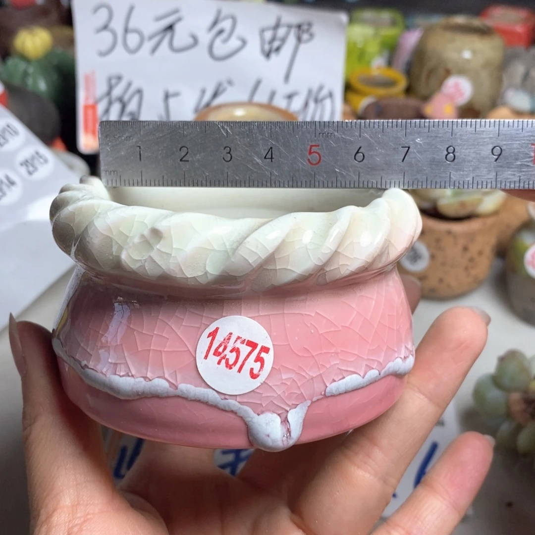 拍5送一个小礼物