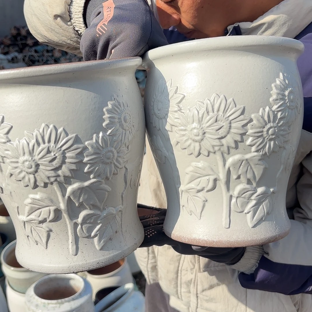 白太阳花两个口径18*22