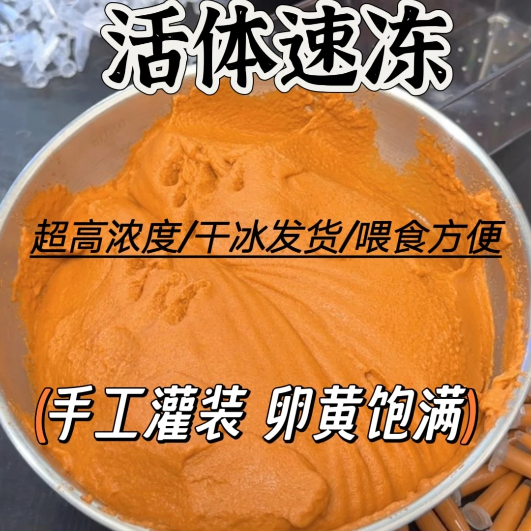 超浓无水丰年虾，纯手工灌装，卵黄完整，纯净无壳