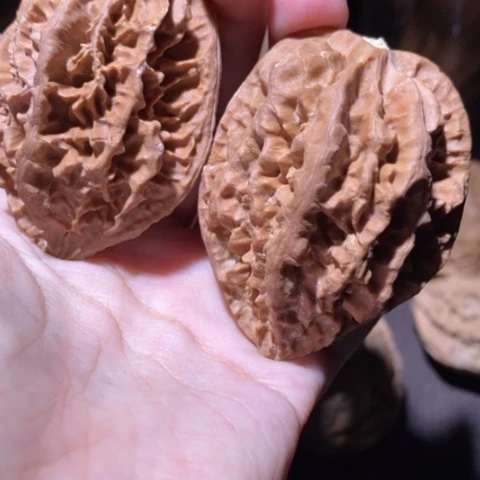 把件文玩核桃东北野生楸子小园 197