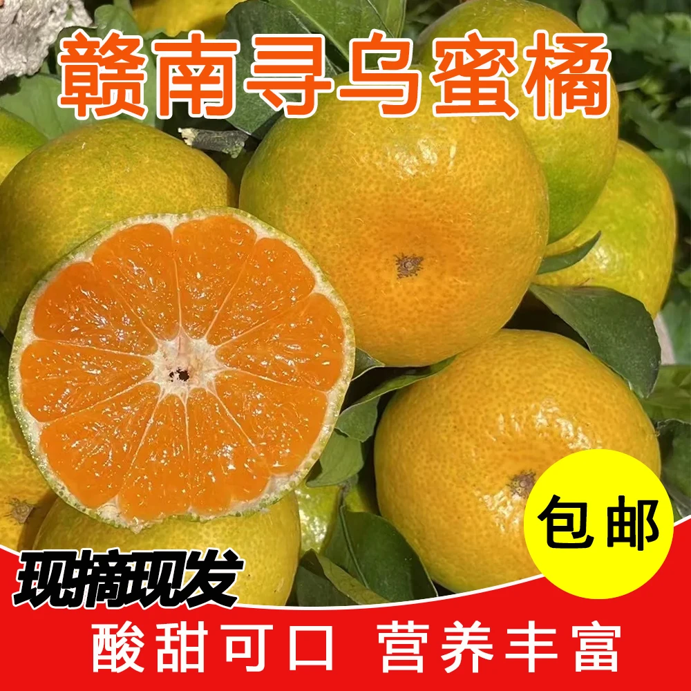江西蜜桔正宗赣南青皮蜜橘酸甜寻乌橘子孕妇水果新鲜现摘应季水果