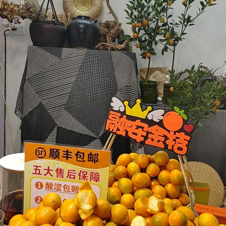 金橘4号大果（花果）一斤