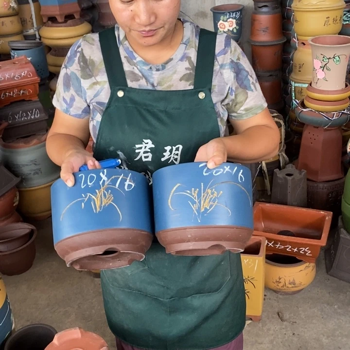 紫砂花盆盆栽花卉苗木种植