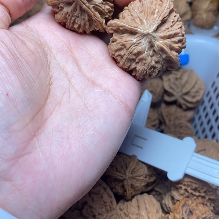 渴***望把件文玩核桃文玩