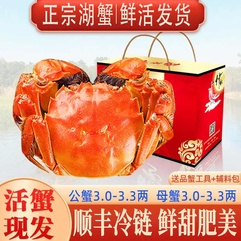 【活蟹】公蟹3-3.3两母蟹3-3.3两8+2共10只精品大闸蟹螃蟹溱湖簖蟹