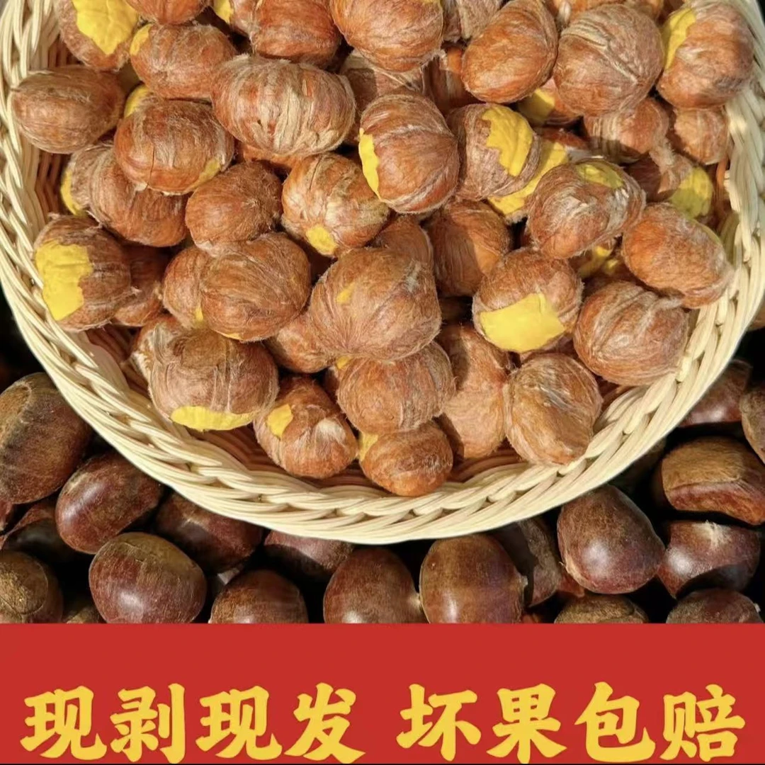 2025新正宗茅山老树板栗毛栗子粉糯香甜皮薄次日达现剥现发大红袍毛栗子