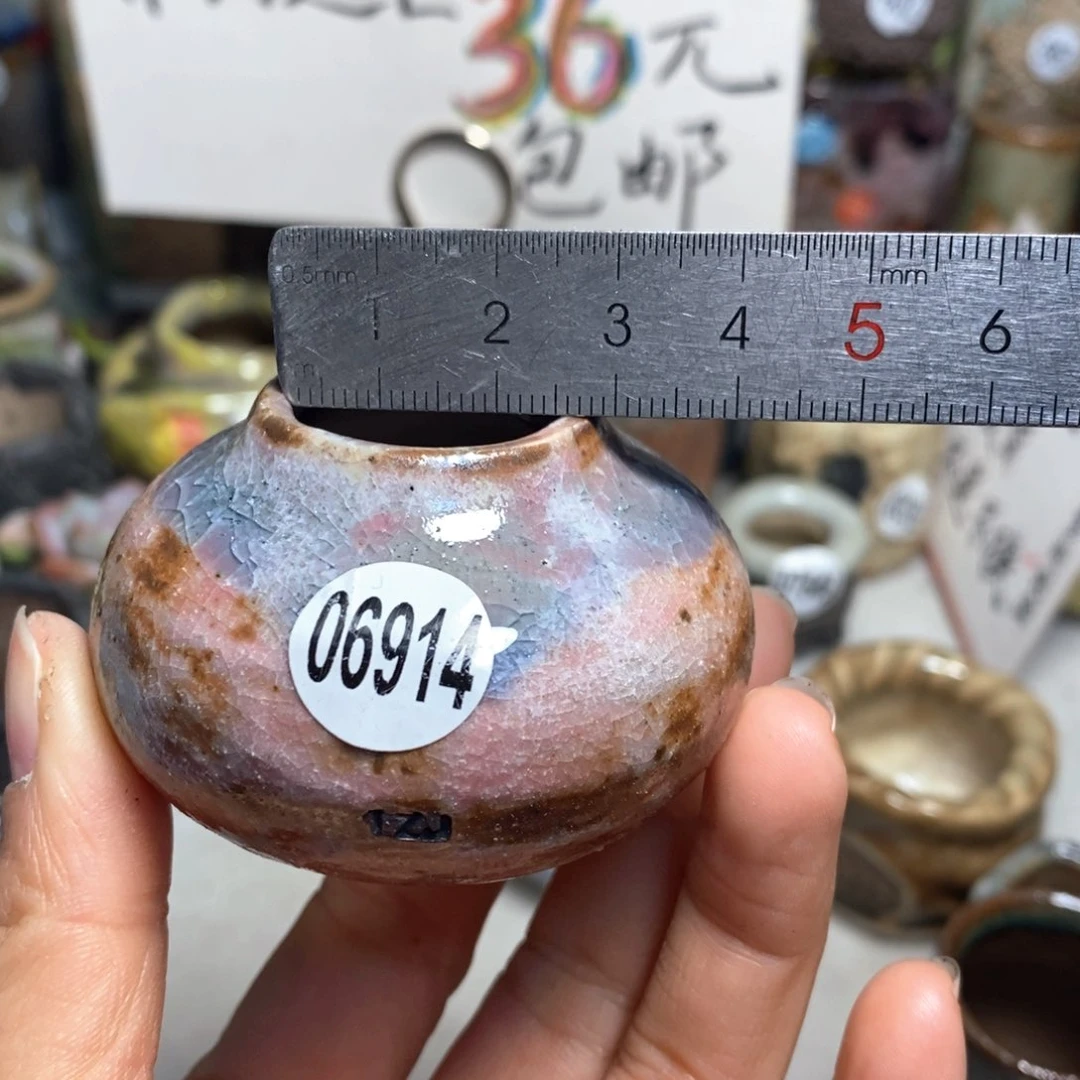 花盆拍5送一个小礼物