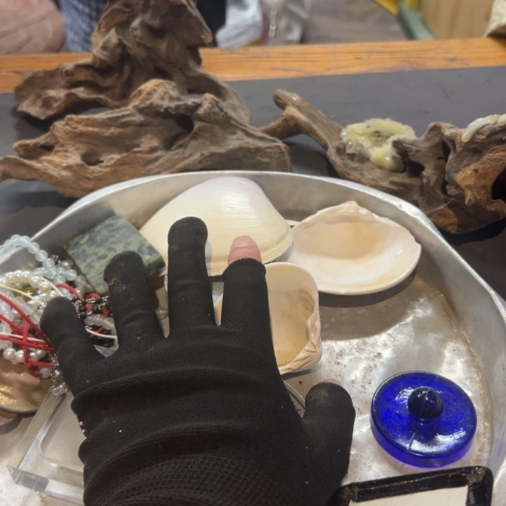 你***的瓷片拾六家的瓷器瓷器