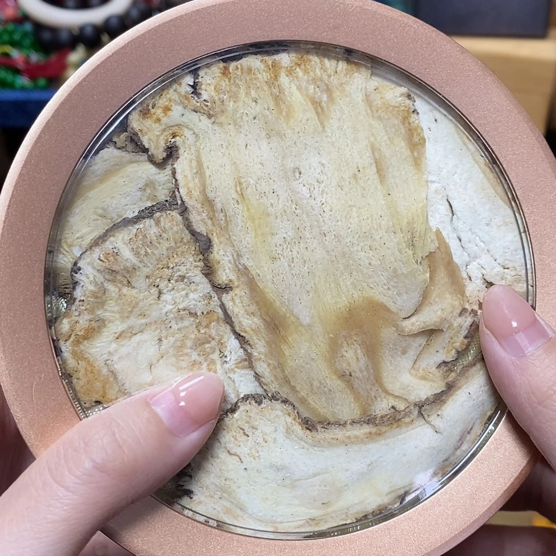紫砂我想我们还会再见面的