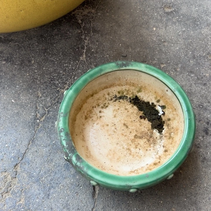 L****者我们都是好孩子呀我