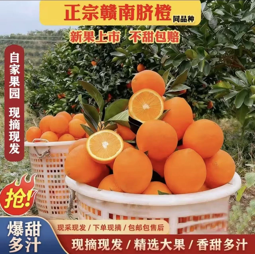 正宗赣南脐橙同款新鲜橙子当季精品水果冰糖甜橙纽荷尔橙现摘包邮
