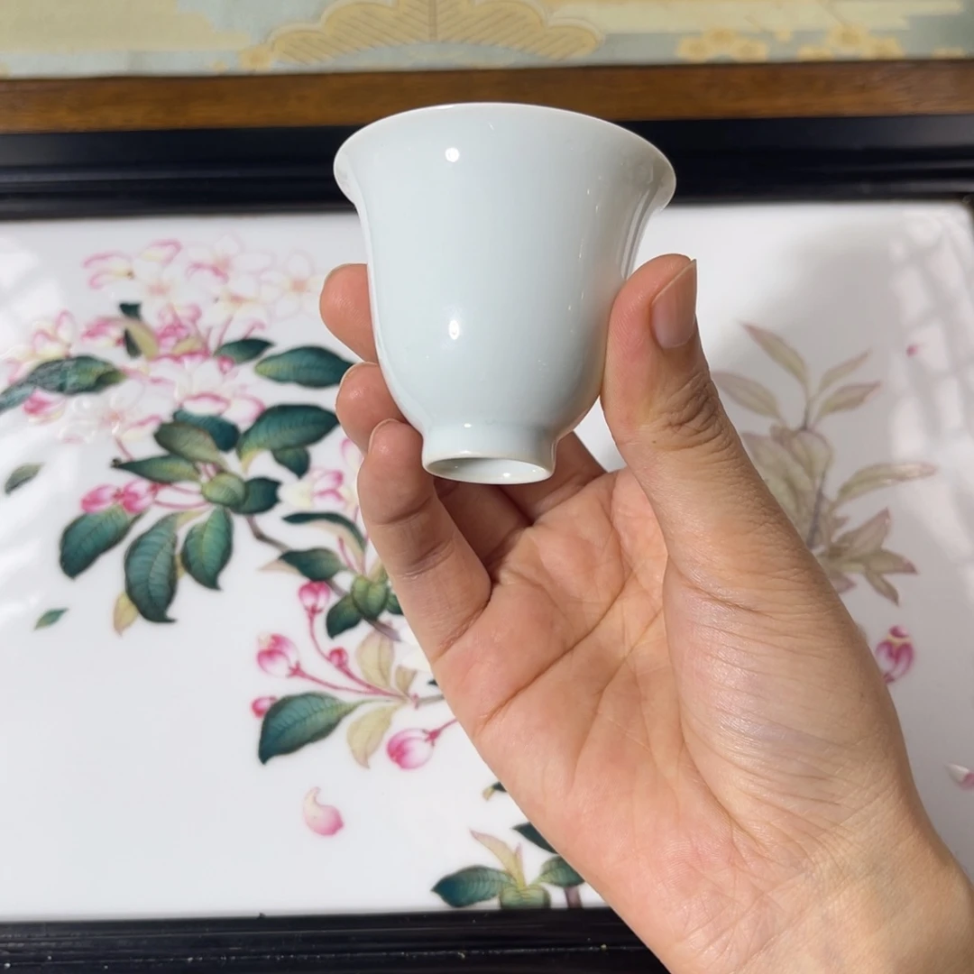 杯杯杯杯杯杯341