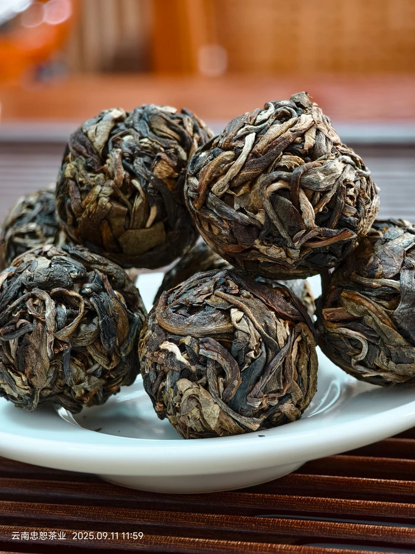 【黑条茶】2016年刮风寨茶王树头春古树茶小龙珠