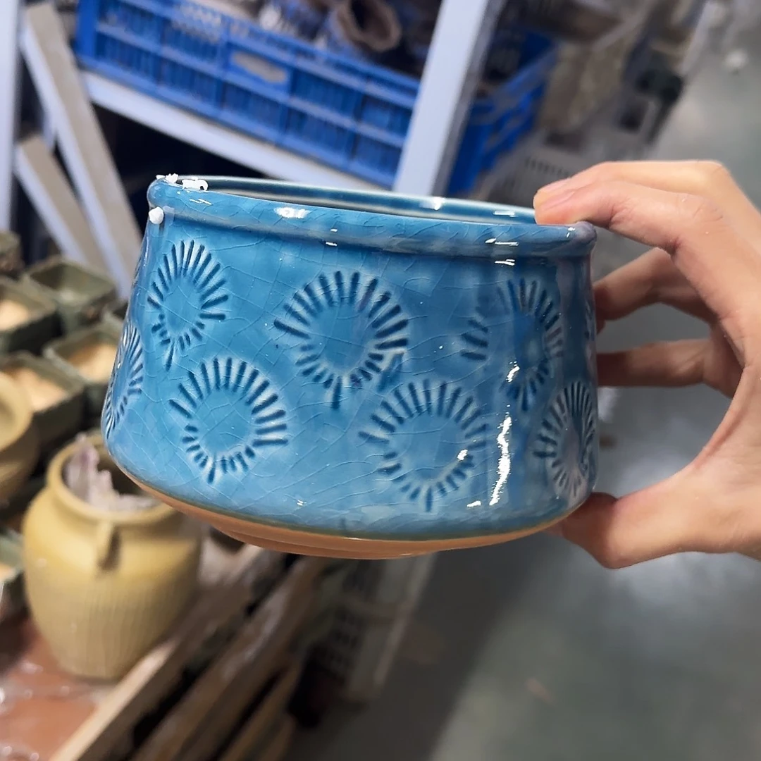 福利局绿植多肉盆［凑9元包邮24小时发］