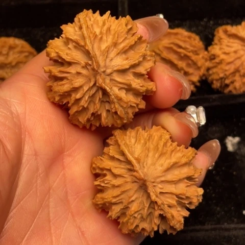 文玩核桃吊坠秦岭野生核桃