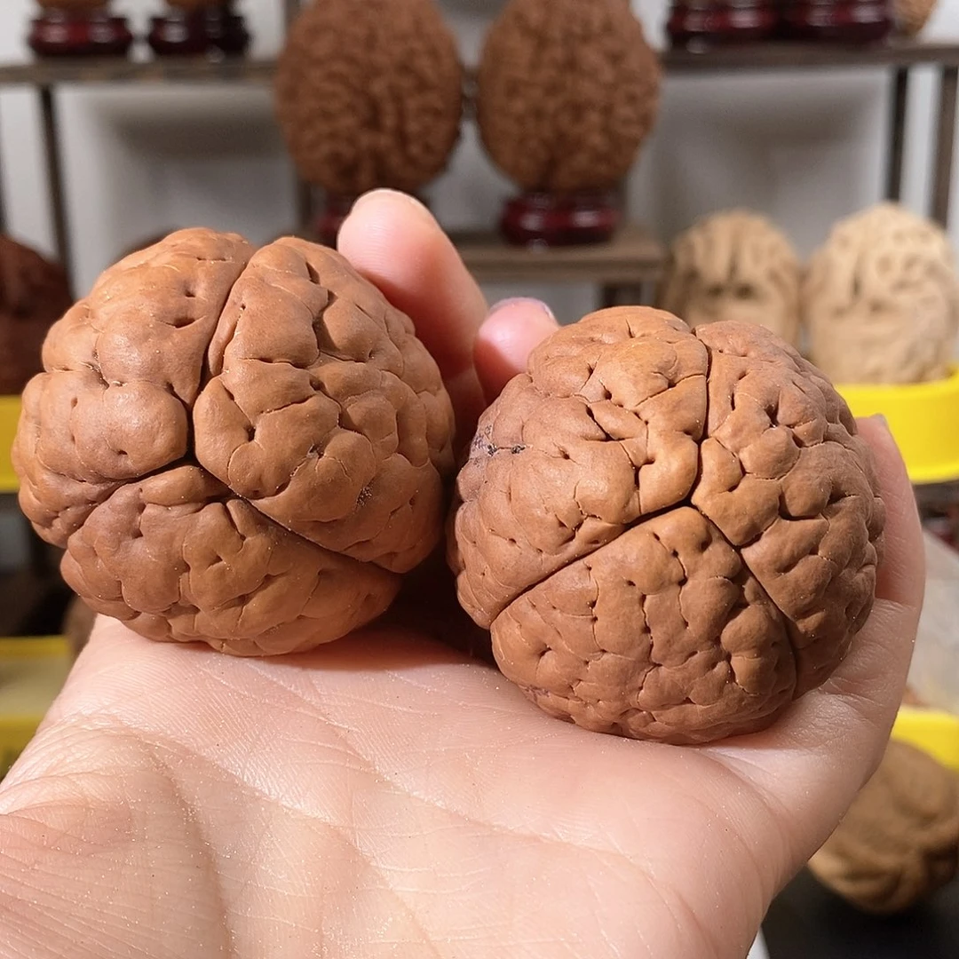 文玩核桃把件乒*三瓣脑纹金刚练手瑕不退不换4957