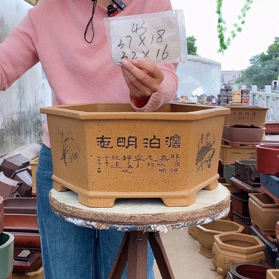 花盆紫砂紫砂花盆