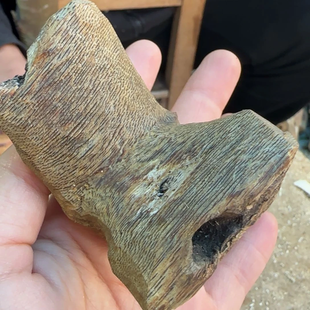 树脂制品透顶绿十字结一个