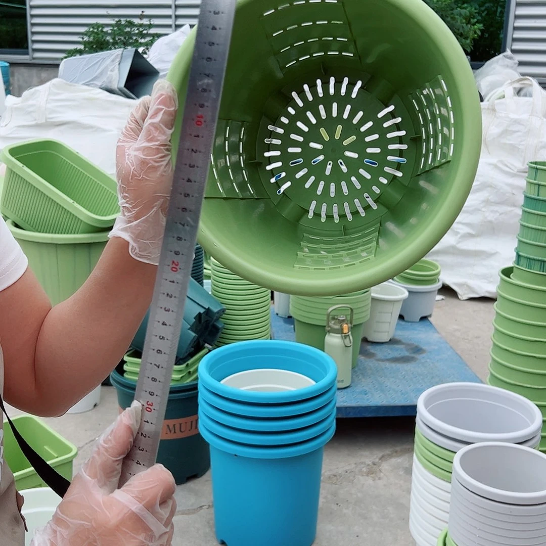 玫瑰280#果绿色5个无托