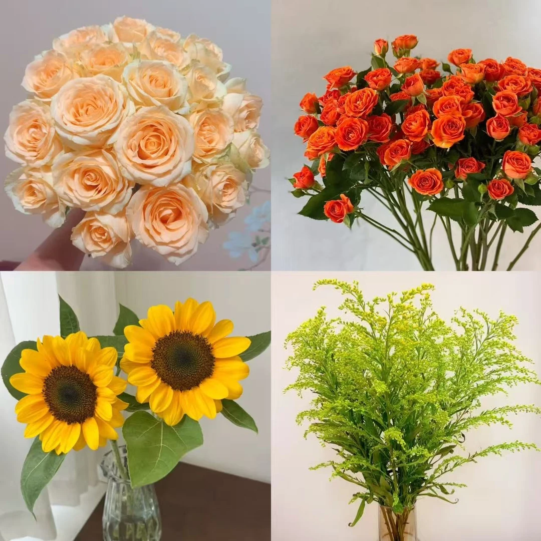 皮皮【香槟10枝+橙芭比5枝+向日葵2枝+黄莺】2单冷链3单升顺丰快递