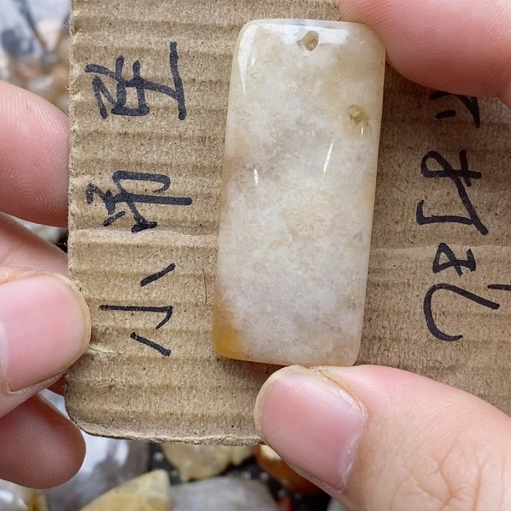 硅化珊瑚(珊瑚玉)未镶嵌颈饰◇****落