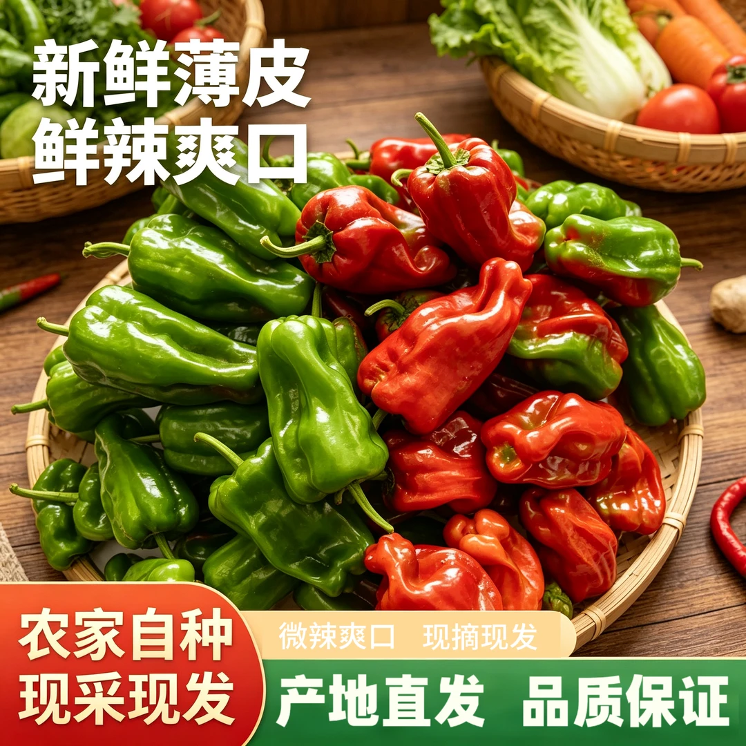 【凤阳助农产品】新鲜辣椒微辣农家自种鲜辣椒青辣椒红辣椒