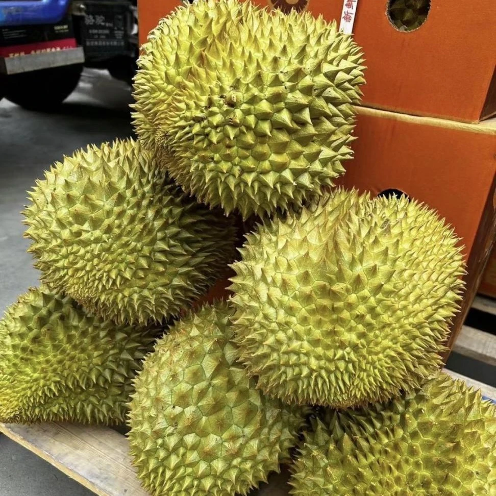 泰国金枕鲜榴莲a果约5斤 干包黄肉软糯香甜核小肉厚金枕泰国