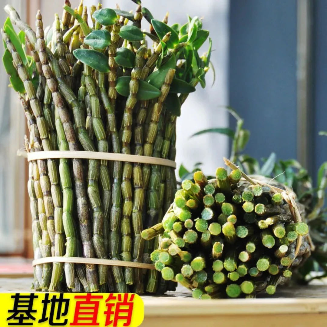 五年生长铁皮石斛500克一斤 新鲜现剪正品鲜铁皮石斛煲汤榨汁首选