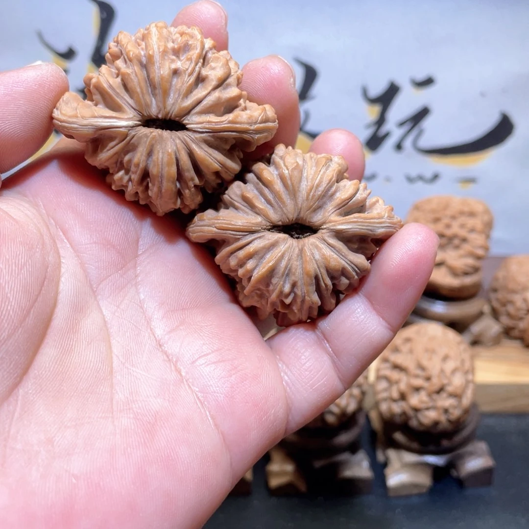 桃核吊坠林**！43蓟县山地四座楼