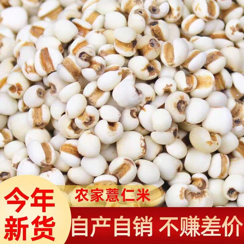 新鲜贵州薏米新货小薏米仁大薏仁米苡仁优质大薏仁五谷杂粮粗粮食