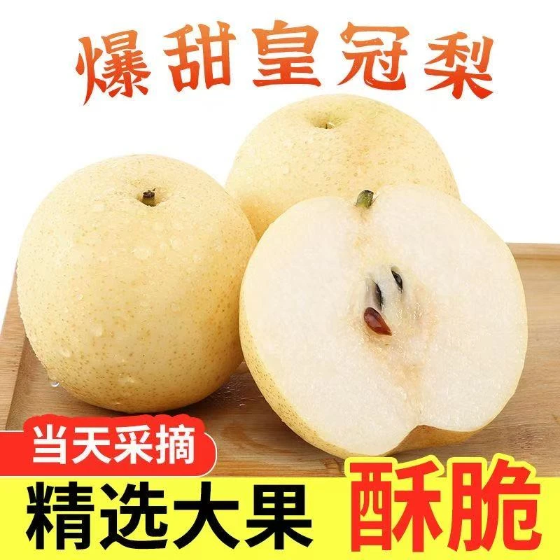正宗皇冠梨雪梨香梨水果冰糖梨子整箱新鲜水果生吃青皮雪梨酥梨甜