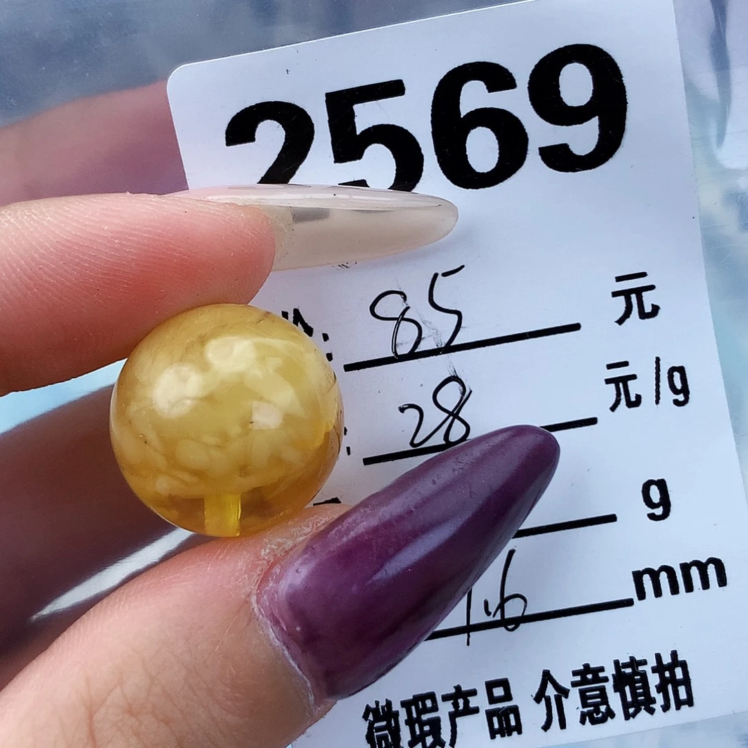 琥珀未镶嵌珠宝奇石17.6植物