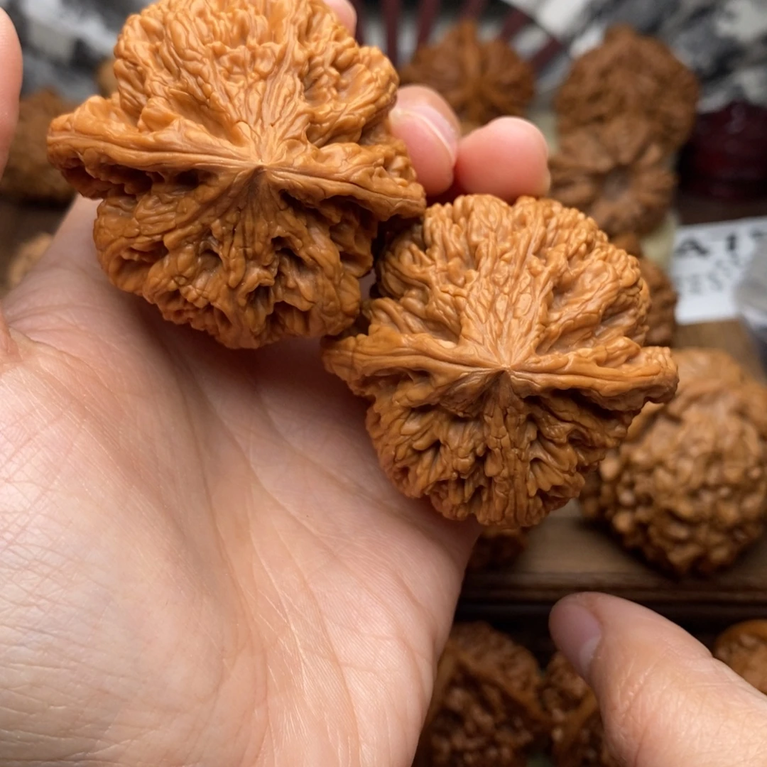 文玩核桃把件453号49粗筋