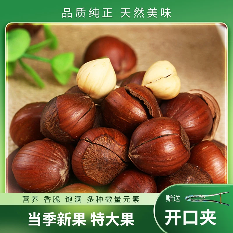 东北榛子优质特大果两斤装赠送开口夹子新货散装炒熟榛子