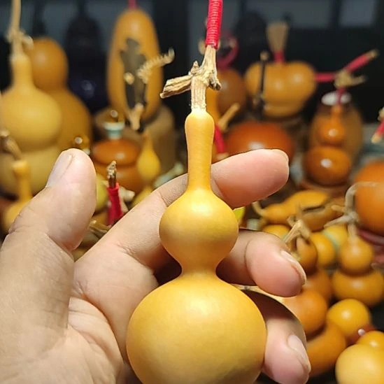 W***s葫芦葫芦一把好好好好好好好