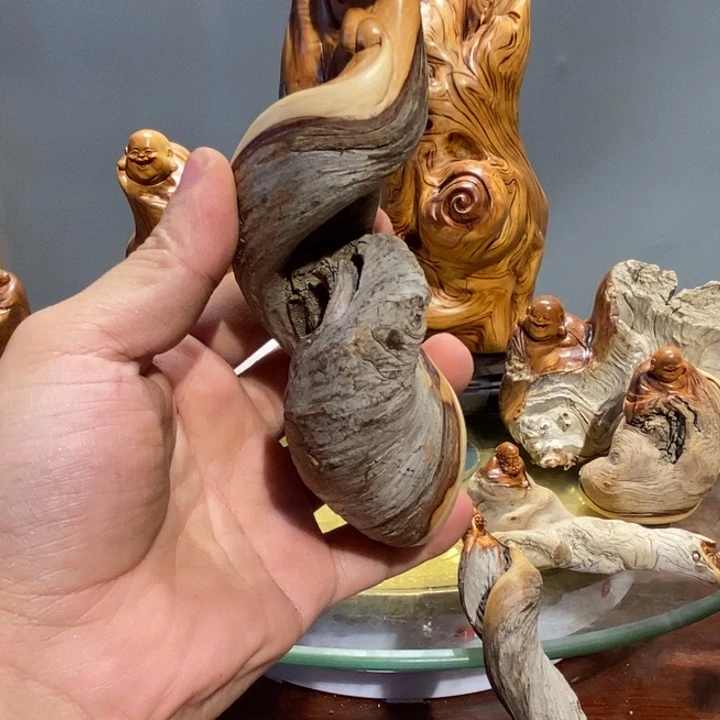 浪***归香榧木崖柏等自然资源的开发