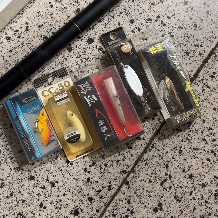 假饵盘发5个有一个bkk