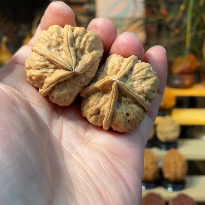 把件文玩核桃编号61