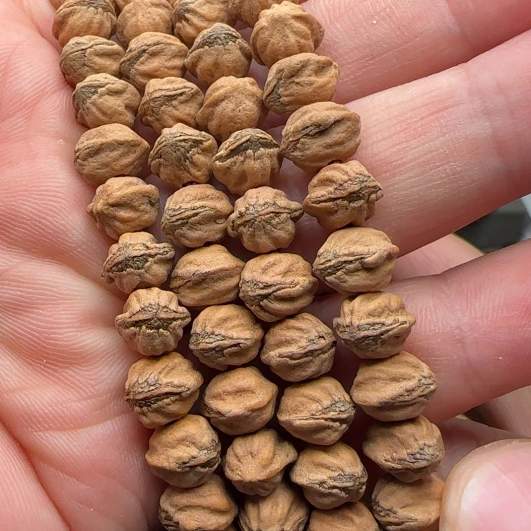 柏香籽/百香籽手串