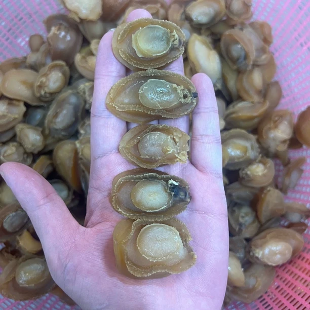 40-50头鲍鱼干(有大有小)