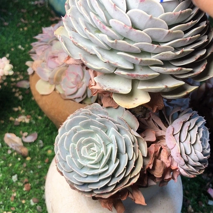 晓*吖240///////////////